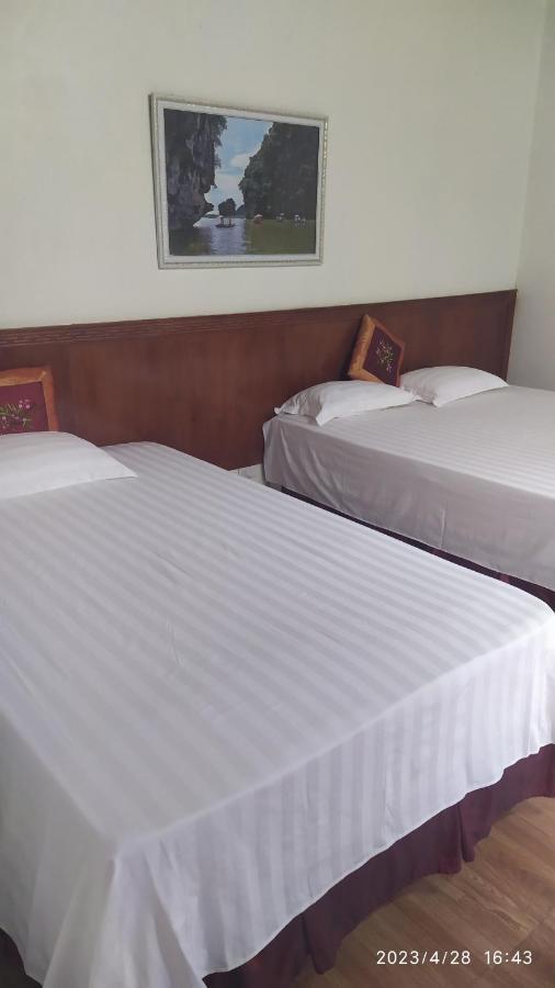 Tam Coc Green Homestay Ninh Bình Ngoại thất bức ảnh