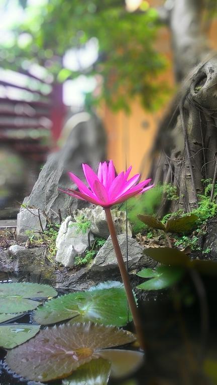 Tam Coc Green Homestay Ninh Bình Ngoại thất bức ảnh
